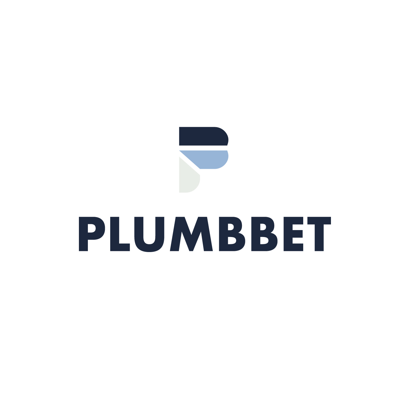 Professional plumber at work